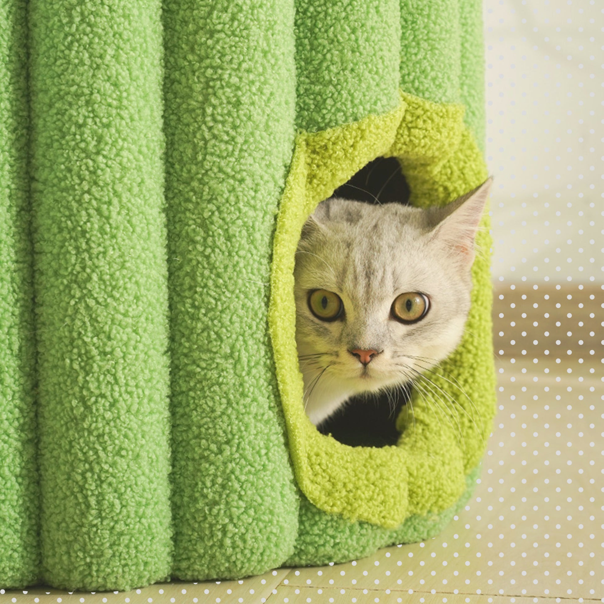 Close-up of Cat Hole in Cactus Cat Cave for Napping