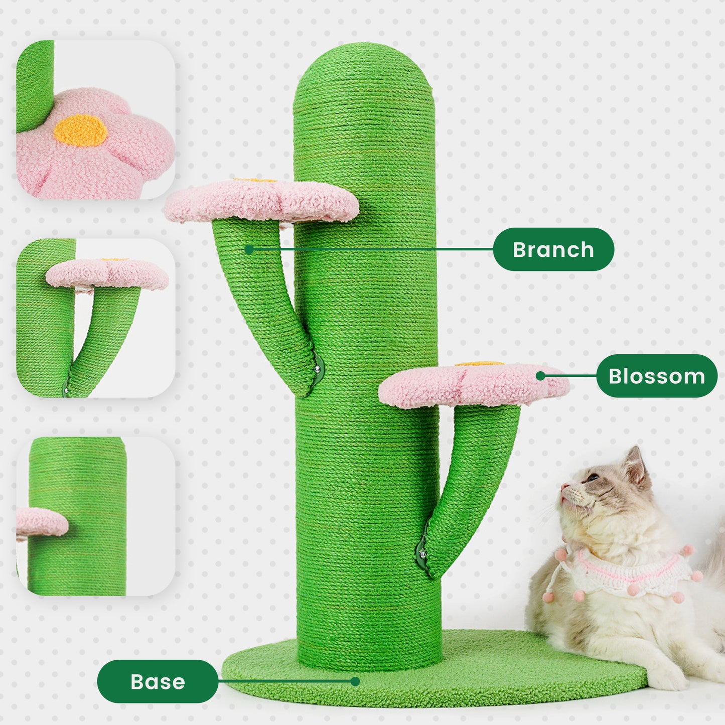 Stable Base of Cactus Cat Scratching Post for Play and Climbing