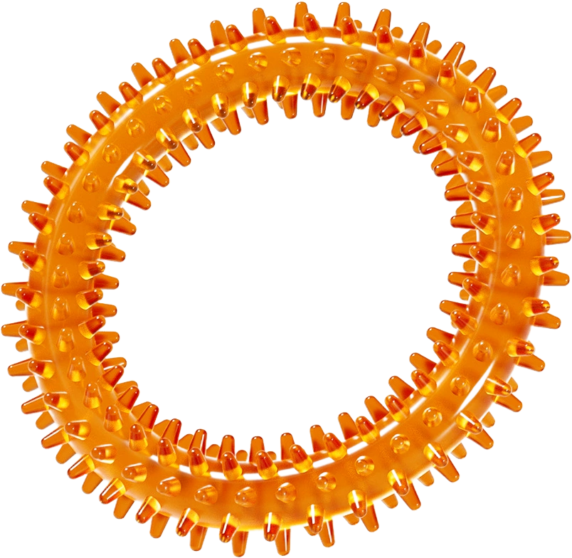 Spiked chew ring — MP-HT087