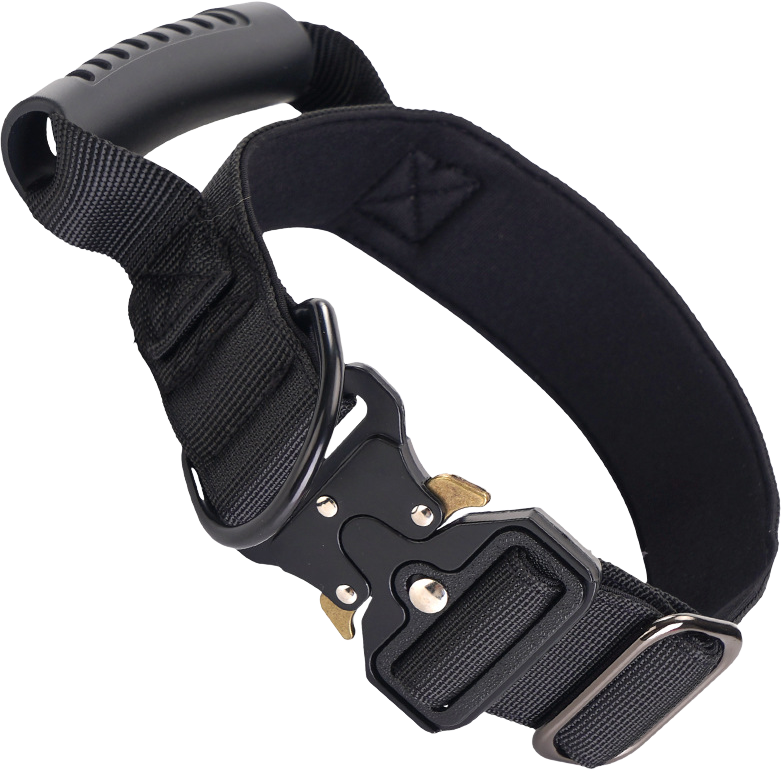Dog collar 996 dog collar — MP-O28