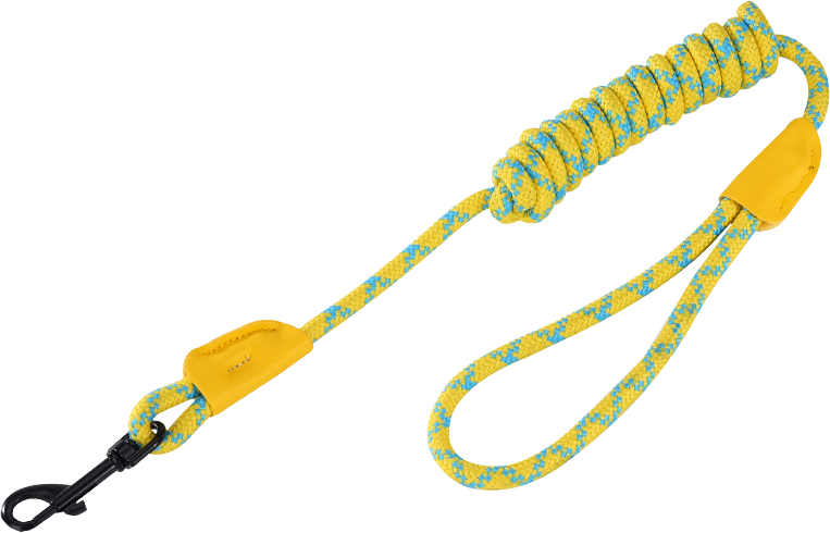 S6 leather-label leash (0.8) — MP-Q43