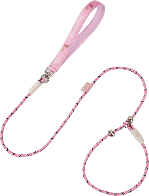 S5 pet slip leash (S(length)) — MP-Q45