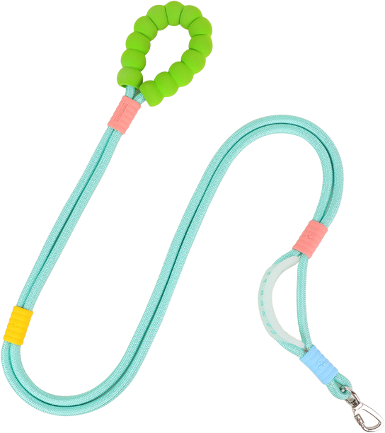 201 Colourful Single Pet Leash — MP-Q71
