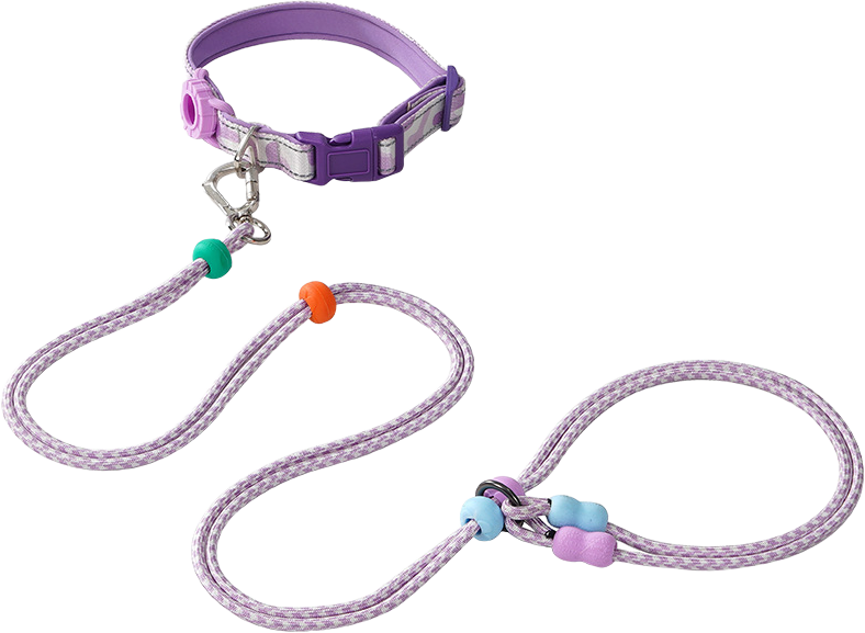 K06 Collar and Slip Leash Set — MP-Q73