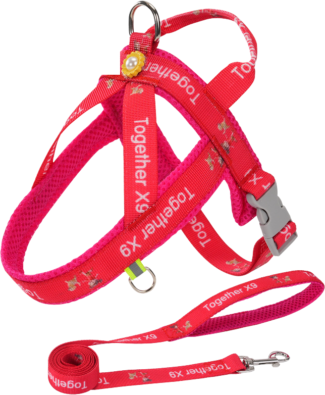 G32 saddle harness (harness with leash) — MP-X125