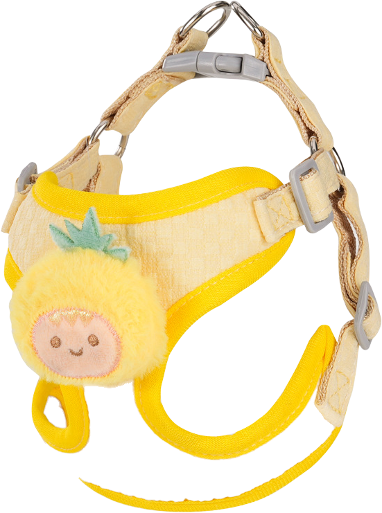 G29 Jackfruit Pet Harness — MP-X144
