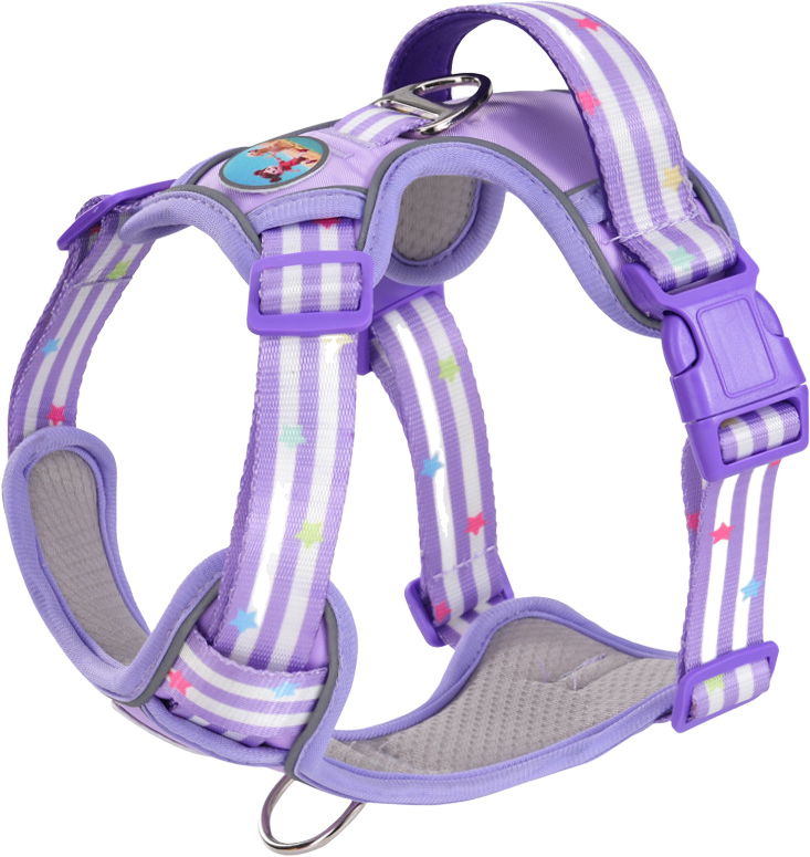 G26 harness — MP-X167