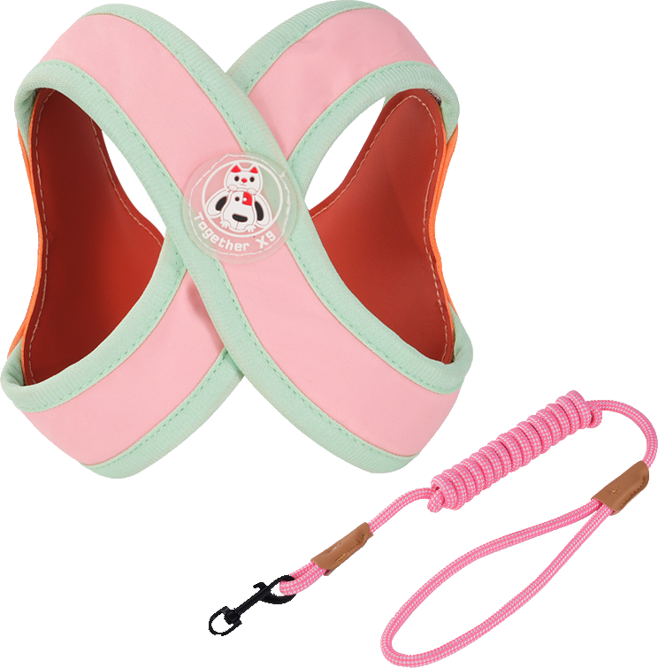 G21 harness (harness with matching round leash) — MP-X172