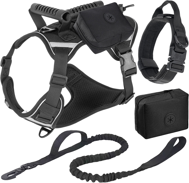 906 Tactical Harness, Collar, Leash and Side Pouch Set — MP-X189