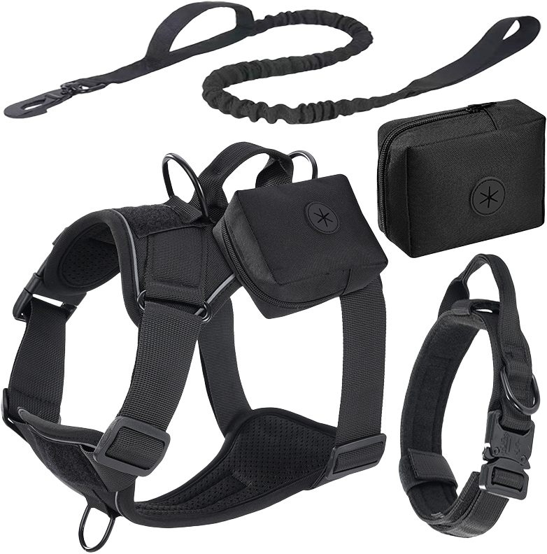 X21 Tactical Harness, Collar, Leash and Side Pouch Set — MP-X197