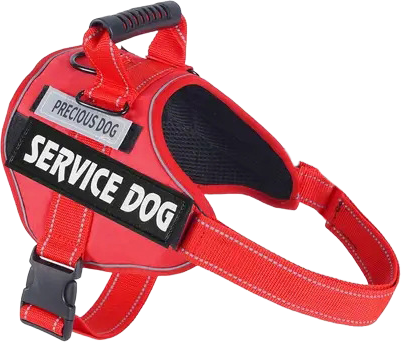 513 saddle-style tactical harness and collar 2-piece set — MP-X240