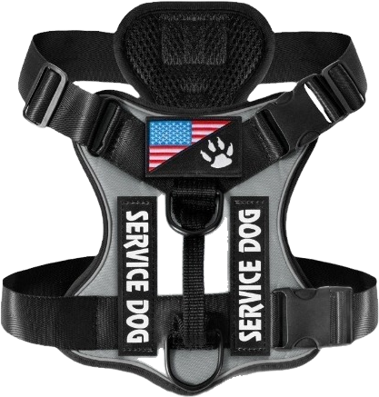 X21 tactical harness — MP-X250