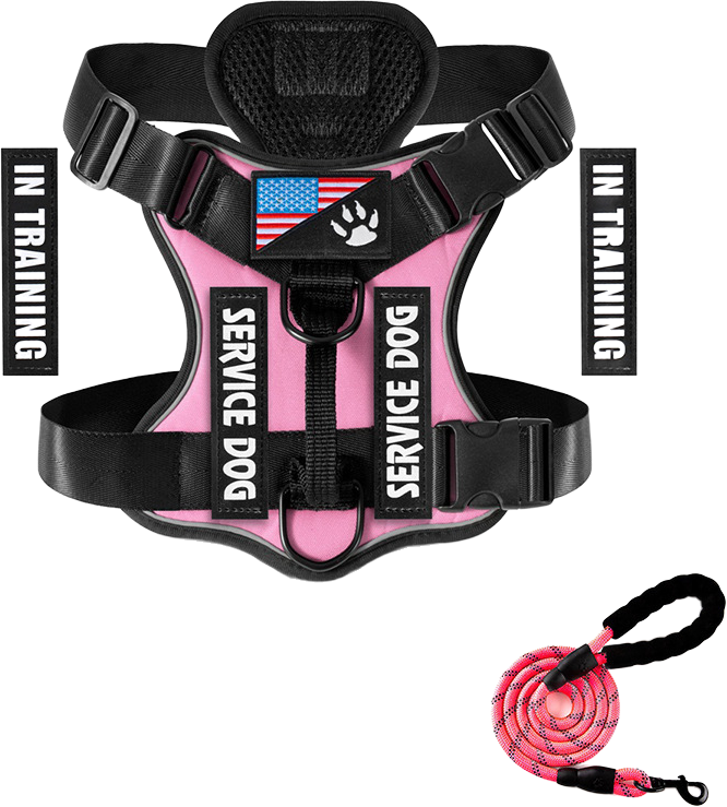X21 with matching leash — MP-X280