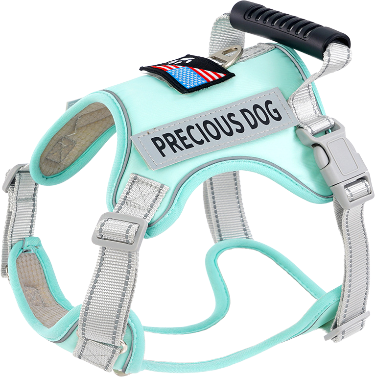 New design X26 harness — MP-X359