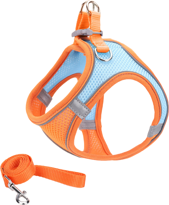 X16E mesh harness and leash 2-piece set (X) — MP-X505