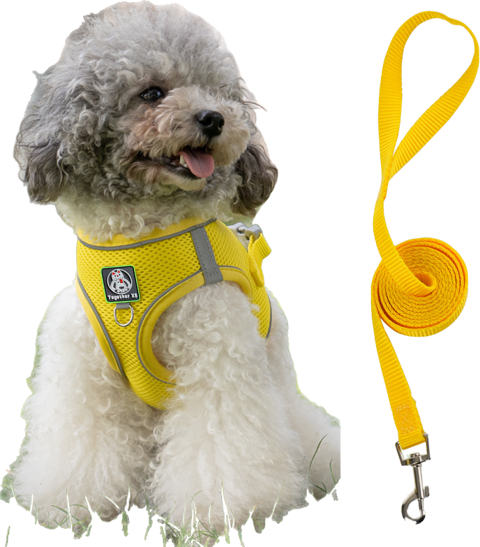 601 harness and leash 2-piece set — MP-X520
