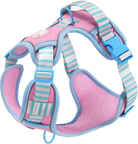 G45 coloured buckle Pet Harness — MP-X54