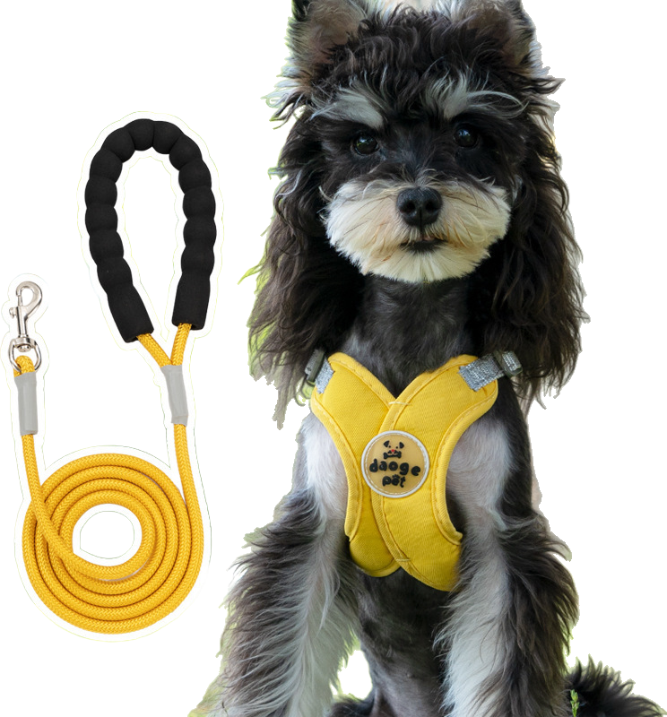 C02 harness and leash 2-piece set — MP-X542