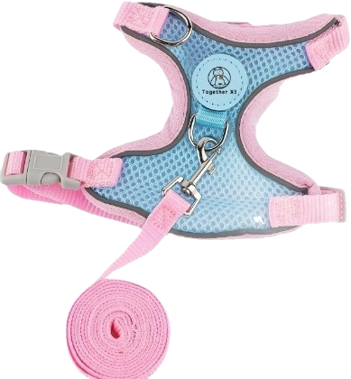 X1 single cat harness and leash 2-piece set — MP-X567