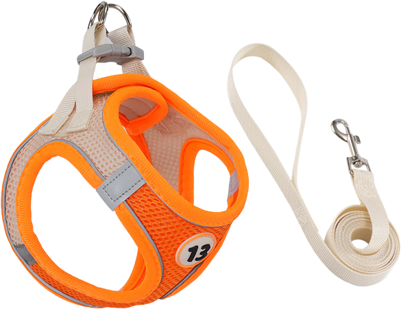 G35 Billiard harness (harness with flat leash) — MP-X93