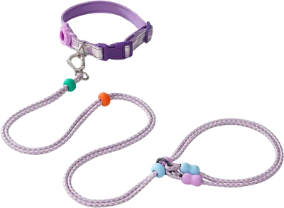 K06 Collar and Slip Leash Set — MP-Q73