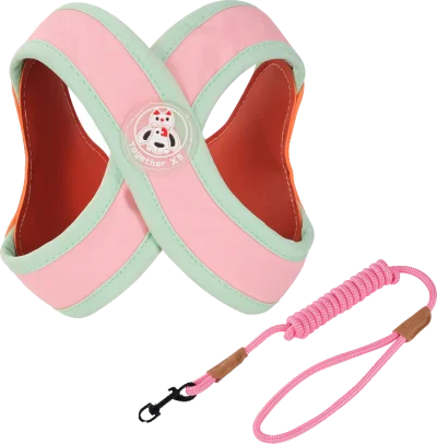 G21 harness (harness with matching round leash) — MP-X172