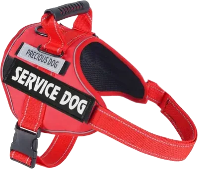 513 saddle-style tactical harness and collar 2-piece set — MP-X240