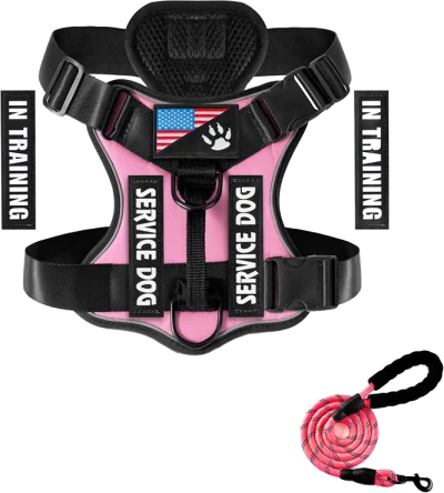 X21 with matching leash — MP-X280