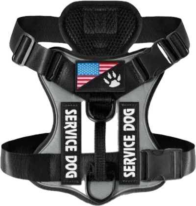 X21 tactical harness — MP-X250