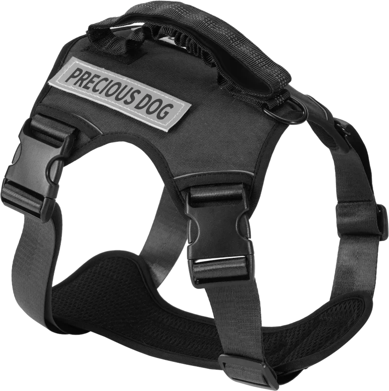 G18 Qimiao harness — MP-X211
