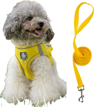 601 harness and leash 2-piece set — MP-X520