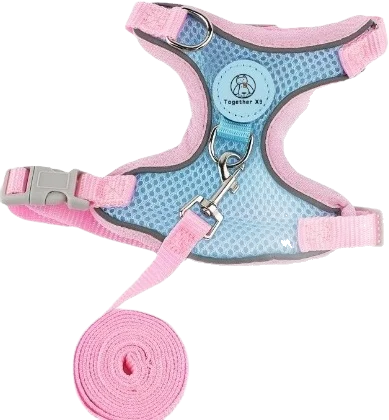 X1 single cat harness and leash 2-piece set — MP-X567