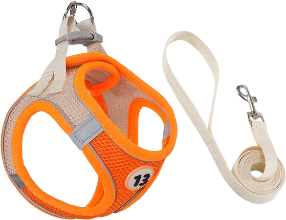 G35 Billiard harness (harness with flat leash) — MP-X93