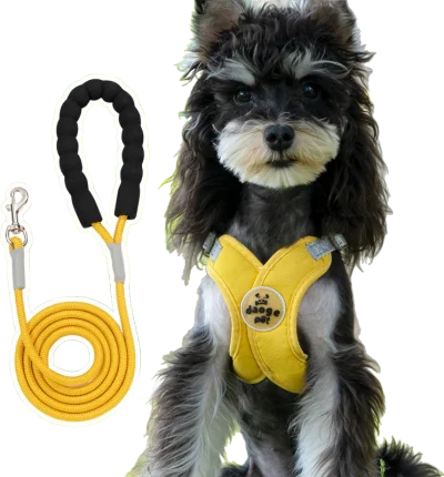 C02 harness and leash 2-piece set — MP-X542