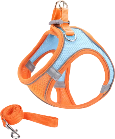 X16E mesh harness and leash 2-piece set (X) — MP-X505